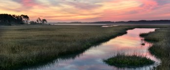 A water channel through a salt marsh during a dusky pink sunset.